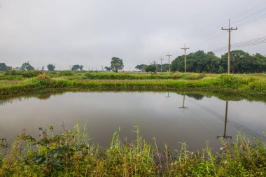 Tayland 'ın Phayao eyaletinde kış mevsiminde sisli balık havuzu.