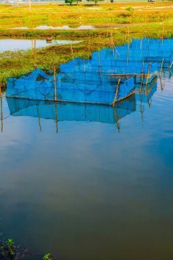 Tayland 'da balık kafesleri.