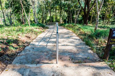 Ulusal Park, Tayland 'da beton merdiven.