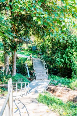 Ulusal Park, Tayland 'da beton merdiven.