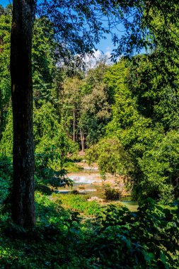 Doi Phu Nang Ulusal Parkı, Tayland.