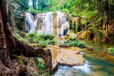 Tansawan Şelalesi Doi Phu Nang Ulusal Parkı, Tayland.