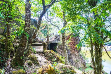 Tayland, Tayland 'da ormanlı küçük bir patika..