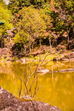 Tayland 'ın Chiangmai ilindeki yeşil göl manzarası..