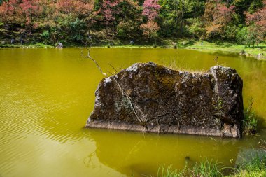 Tayland 'ın Chiangmai bölgesinde yeşil gölü olan antik bir taş..