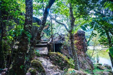 Tayland, Tayland 'da ormanlı küçük bir patika..