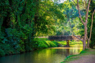 Phu Sang Şelalesi, Tayland.