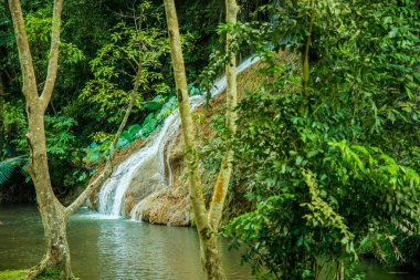 Phayao şehrinde Phu Sang şelalesi, Tayland.