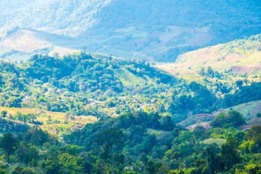 Tayland 'ın Chiangrai eyaletinde dağ manzarası.