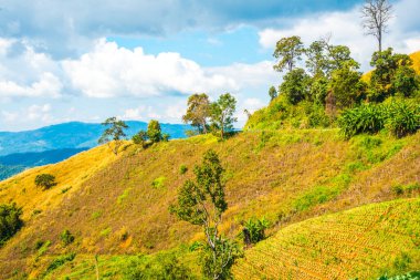 Tayland 'ın Chiangrai eyaletinde dağ manzarası.