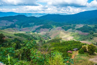 Tayland 'ın Chiangrai eyaletinde dağ manzarası.