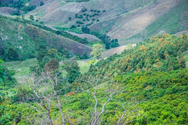 Tayland 'ın Chiangrai eyaletinde dağ manzarası.