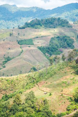 Tayland 'ın Chiangrai eyaletinde dağ manzarası.