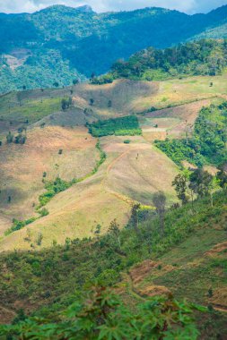 Tayland 'ın Chiangrai eyaletinde dağ manzarası.