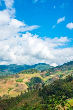 Tayland 'ın Chiangrai eyaletinde dağ manzarası.