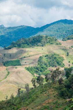 Tayland 'ın Chiangrai eyaletinde dağ manzarası.
