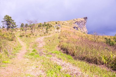 Chiangrai, Tayland 'daki Phu Chi Fa Dağı manzarası.
