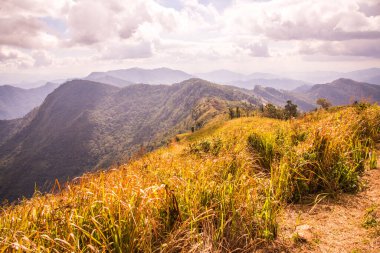 Chiangrai, Tayland 'daki Phu Chi Fa Dağı manzarası.