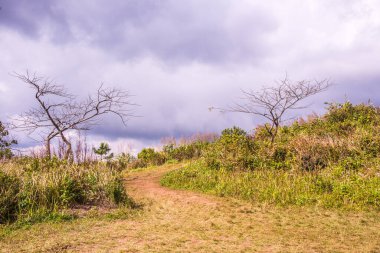 Chiangrai, Tayland 'daki Phu Chi Fa Dağı manzarası.