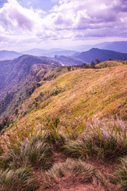 Chiangrai, Tayland 'daki Phu Chi Fa Dağı manzarası.