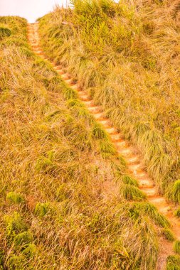 Phu Chi Fa, Tayland 'da dağda yürüyüş yolu.