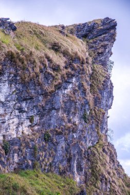 Chiangrai, Tayland 'daki Phu Chi Fa Dağı manzarası.