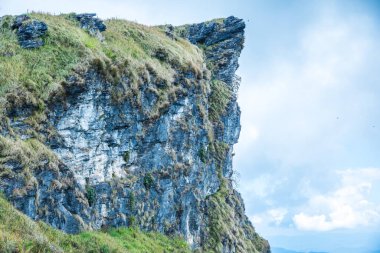 Chiangrai, Tayland 'daki Phu Chi Fa Dağı manzarası.