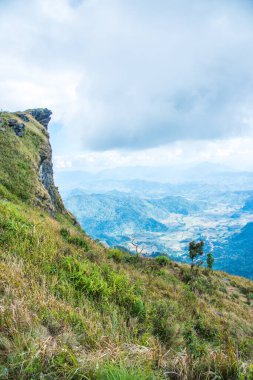 Chiangrai, Tayland 'daki Phu Chi Fa Dağı manzarası.