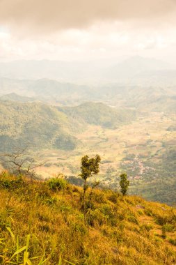 Chiangrai, Tayland 'da Phu Chi Fa' nın en iyi manzarası.