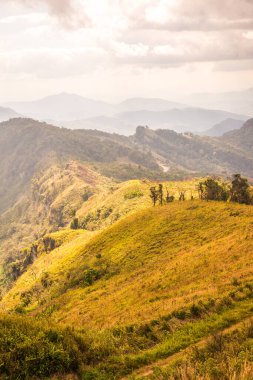 Chiangrai, Tayland 'daki Phu Chi Fa Dağı manzarası.