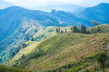 Chiangrai, Tayland 'daki Phu Chi Fa Dağı manzarası.