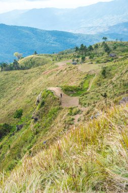 Chiangrai, Tayland 'daki Phu Chi Fa Dağı manzarası.