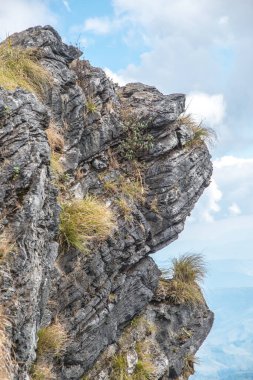 Chiangrai, Tayland 'daki Phu Chi Fa Dağı manzarası.