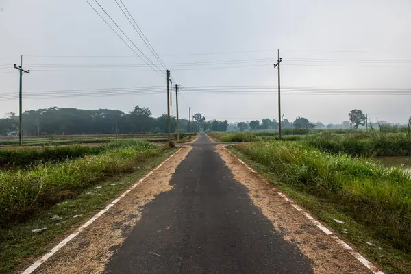 Tayland 'ın Phayao eyaletinde kış mevsiminde sisli koşu pisti.