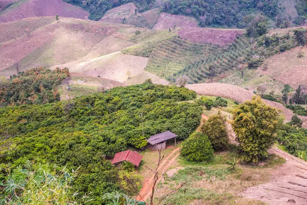 Tayland 'ın Chiangrai eyaletinde dağ manzarası.