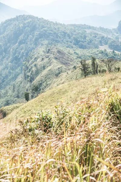 Stock image Mountain view of Phu Chi Fa at Chiangrai province, Thailand.