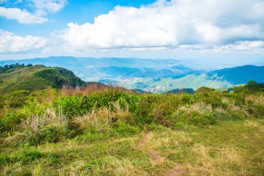 Chiangrai, Tayland 'daki Phu Chi Fa Dağı manzarası.