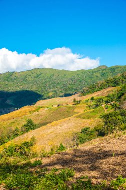 Tayland 'ın Chiangrai eyaletinde dağ manzarası.