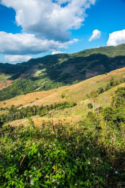 Tayland 'ın Chiangrai eyaletinde dağ manzarası.