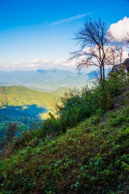 Tayland 'ın Chiangrai ilindeki Doi Pha Tang Dağı manzarası.