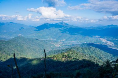 Tayland 'ın Chiangrai ilindeki Doi Pha Tang Dağı manzarası.