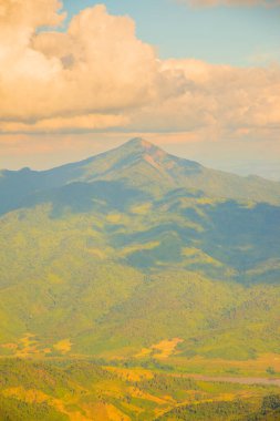Tayland 'ın Chiangrai ilindeki Doi Pha Tang Dağı manzarası.