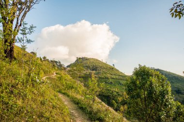 Tayland 'ın Chiangrai ilindeki Doi Pha Tang Dağı manzarası.