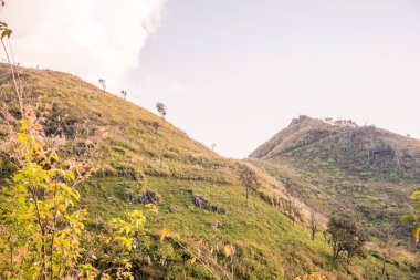 Tayland 'ın Chiangrai ilindeki Doi Pha Tang Dağı manzarası.