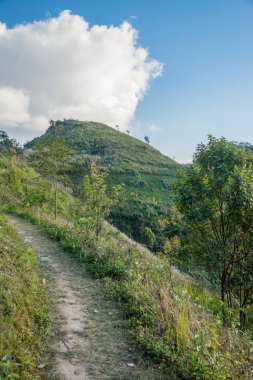 Tayland 'ın Chiangrai ilindeki Doi Pha Tang Dağı manzarası.