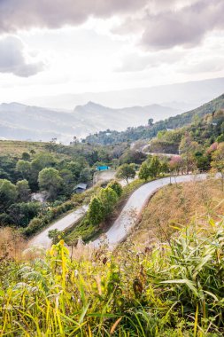 Chiangrai, Tayland 'da Doi Pha Tang yolu..