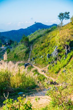 Tayland 'ın Chiangrai ilindeki Doi Pha Tang Dağı manzarası.