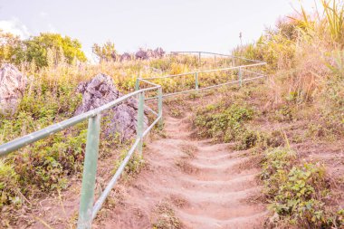 Chiangrai, Tayland 'daki Doi Pha Tang yolu..