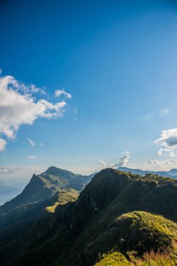 Tayland 'ın Chiangrai ilindeki Doi Pha Tang Dağı manzarası.