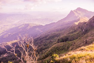 Tayland 'ın Chiangrai ilindeki Doi Pha Tang Dağı manzarası.